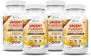 how to use Urgent Fungus Destroyer how to use Urgent Fungus Destroyer